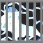 caged.jpg