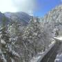 snowy.jpeg