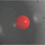 bigsphere.jpg